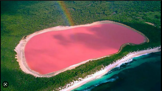 Pink Lake.png