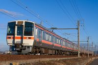 FT310 train.jpg