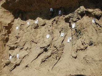 An exhumed mass grave outside of El Rosario of Creeperian and Castillianan victims of the race riots.