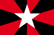 Ajakanistan flag (1919-1921).png