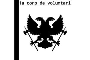 Flag of the 1st volunteer corp.jpeg
