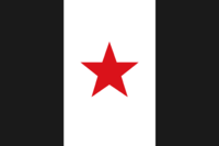 Flag of the Lasca Campos Brigade