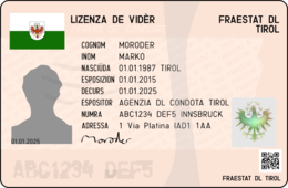 Tirol driving licence.png