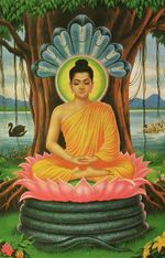 The Buddha meditating.jpg
