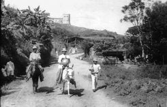 Three coffee plantation overseers (two on horseback) walking on a path through a coffee plantation.