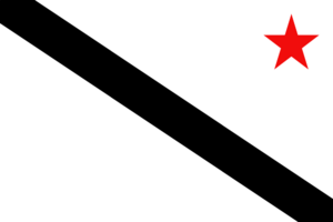 Flag of the Anti-Salisfordian Resistance.png