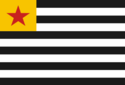 Flag of Republic of Santa Ana