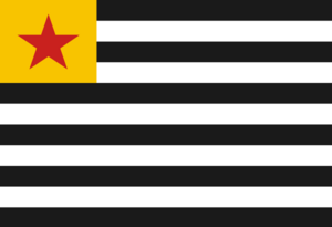 Flag of the Republic of Santa Ana.png
