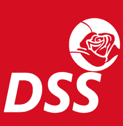 DSS .png