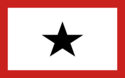 Flag of Republic of Nuevo Honduras