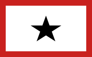 Flag of the Republic of Nuevo Honduras.png