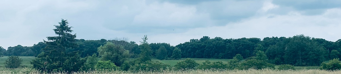 View over a field in the Rakeoian countryside.