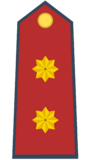 Colonel