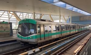 Luhai Metro Train.jpg