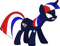 Quebecshire pony.png