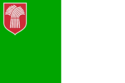 Flag of Military Region of South San Paolo